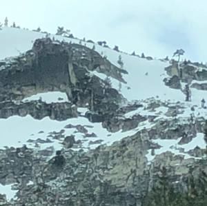 Meet your Posher, Manoucheka